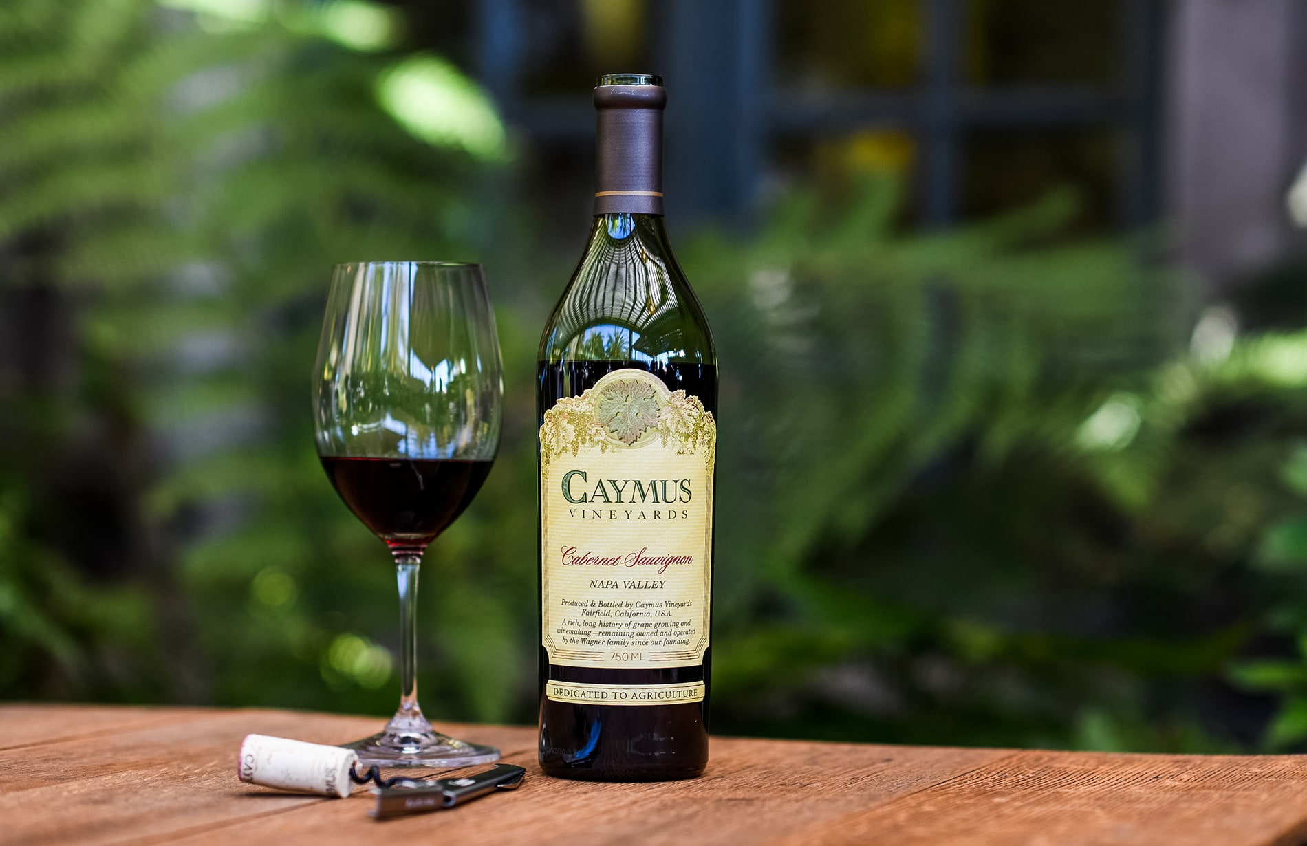 Caymus Wine Tasting Guide: Tips for Enjoying and Appreciating the Flavors